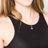 Lafayette Star Necklace