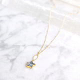 Lafayette Star Necklace