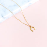 Rosa Horseshoe Necklace
