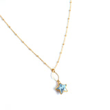 Lafayette Star Necklace